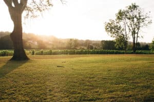 mariage-mcreationevents-chic-bordeaux-gironde-weddingplanner-organisation-wedding-chateau-destinationwedding